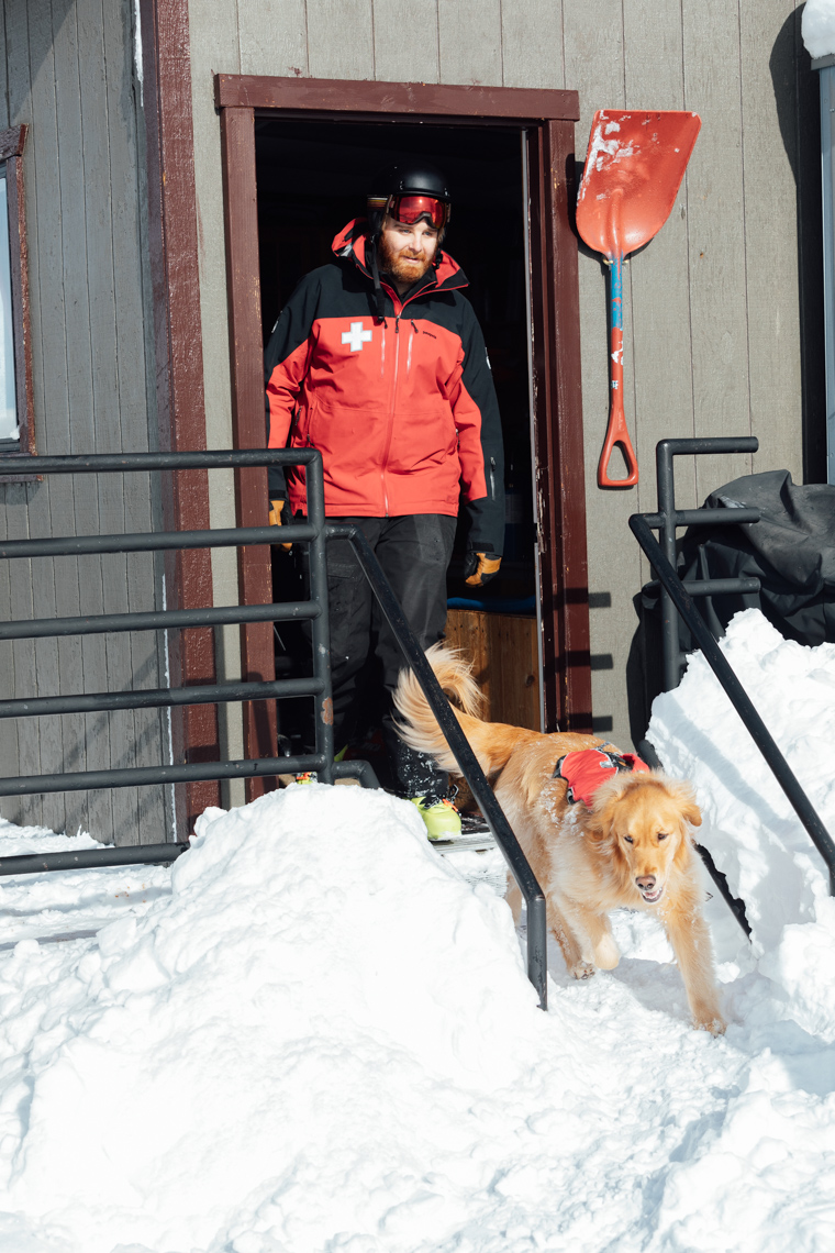 DAN_7213AvDog