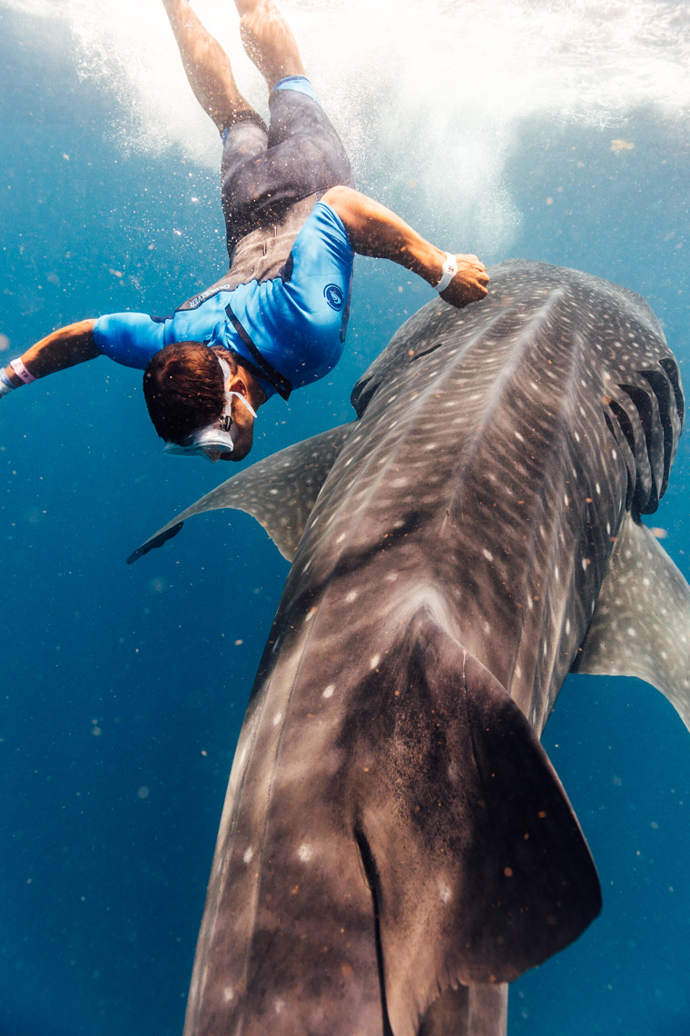 RCI_Cozumel_Whale_Sharks_Couples_01_00099ComeSeek