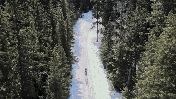 ezgif.com-gif-maker333